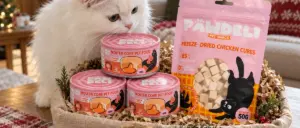 Review combo PAWDELI cuối năm: chọn theo ngân sách và nhu cầu