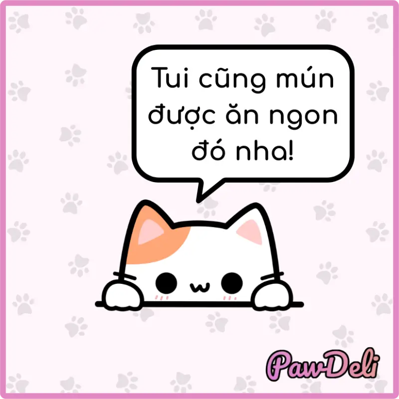 chú mèo nói muốn được ăn ngon