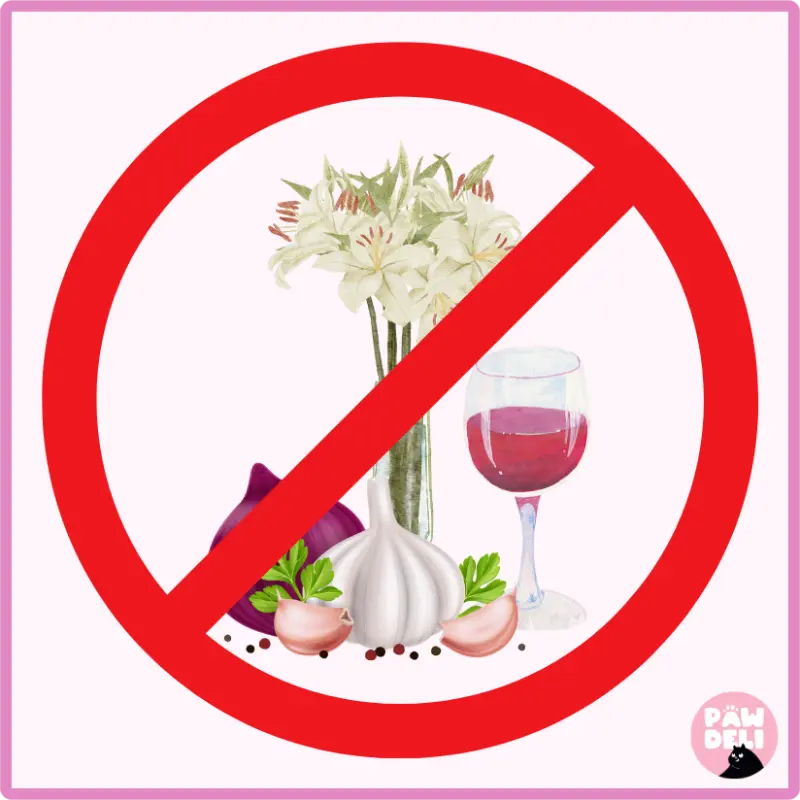 không cho mèo tiếp xúc với rượu, hoa lòa kèn, hành tỏi