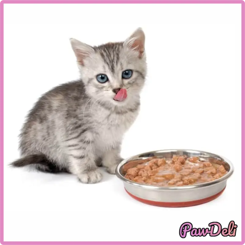 the kitten feels good eating cat pate