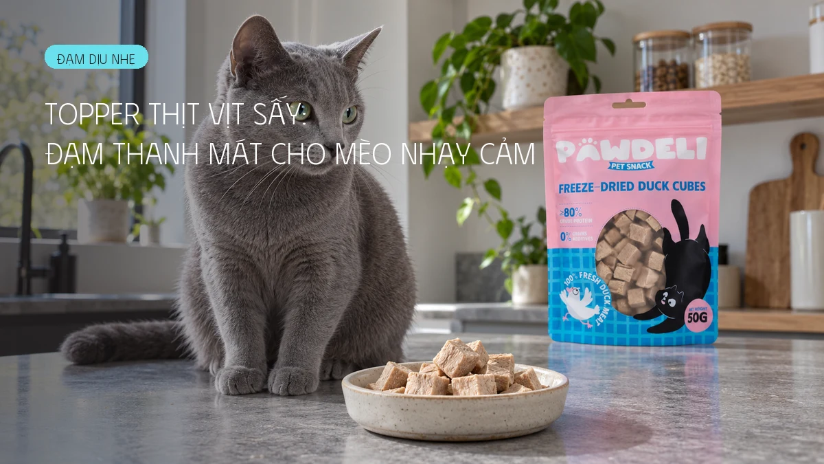 Topper thịt vịt sấy: nguồn đạm thanh mát hỗ trợ mèo nhạy cảm