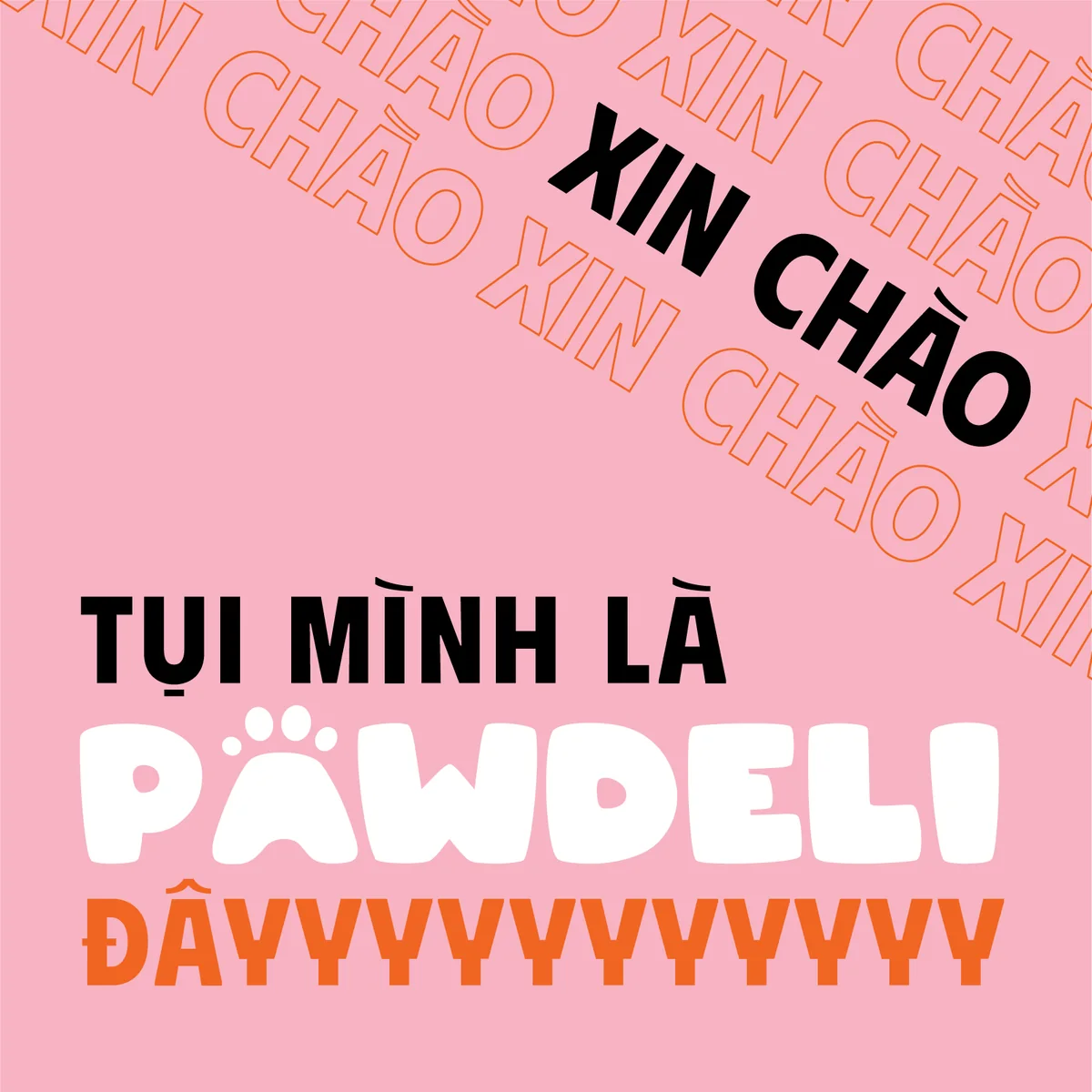 Pate Nhân Chảy Pawdeli Chi Tiết 20