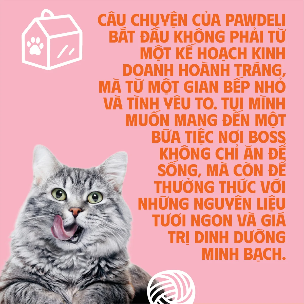 Pate Nhân Chảy Pawdeli Chi Tiết 21