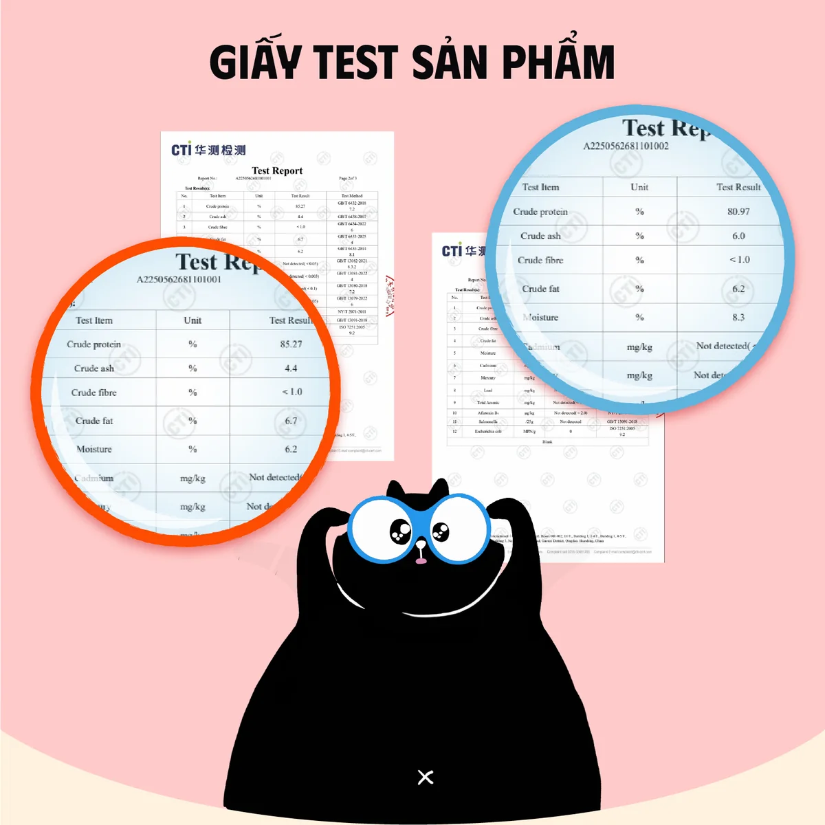 Thịt Sấy Thăng Hoa Pawdeli Chi Tiết 11