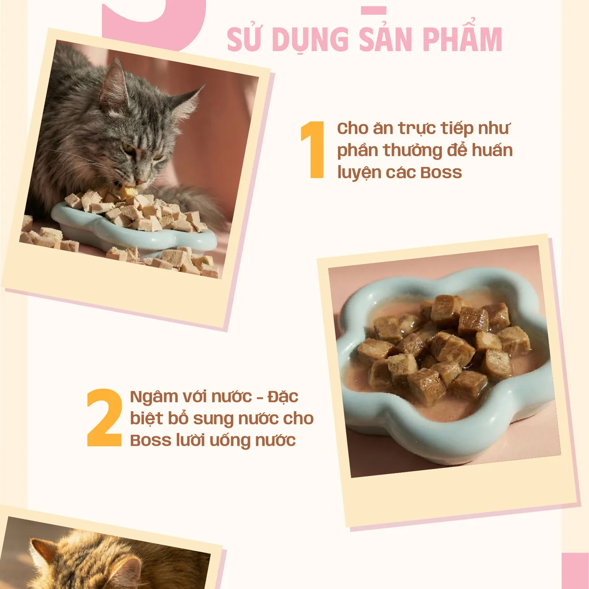 Thịt Sấy Thăng Hoa Pawdeli Chi Tiết 14