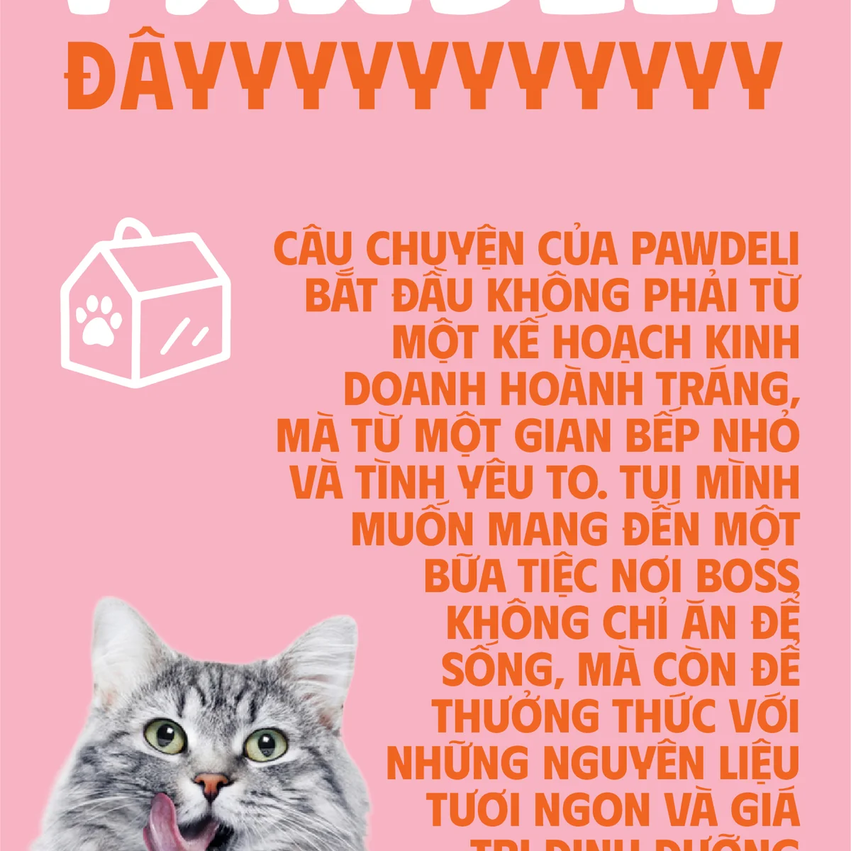 Thịt Sấy Thăng Hoa Pawdeli Chi Tiết 16
