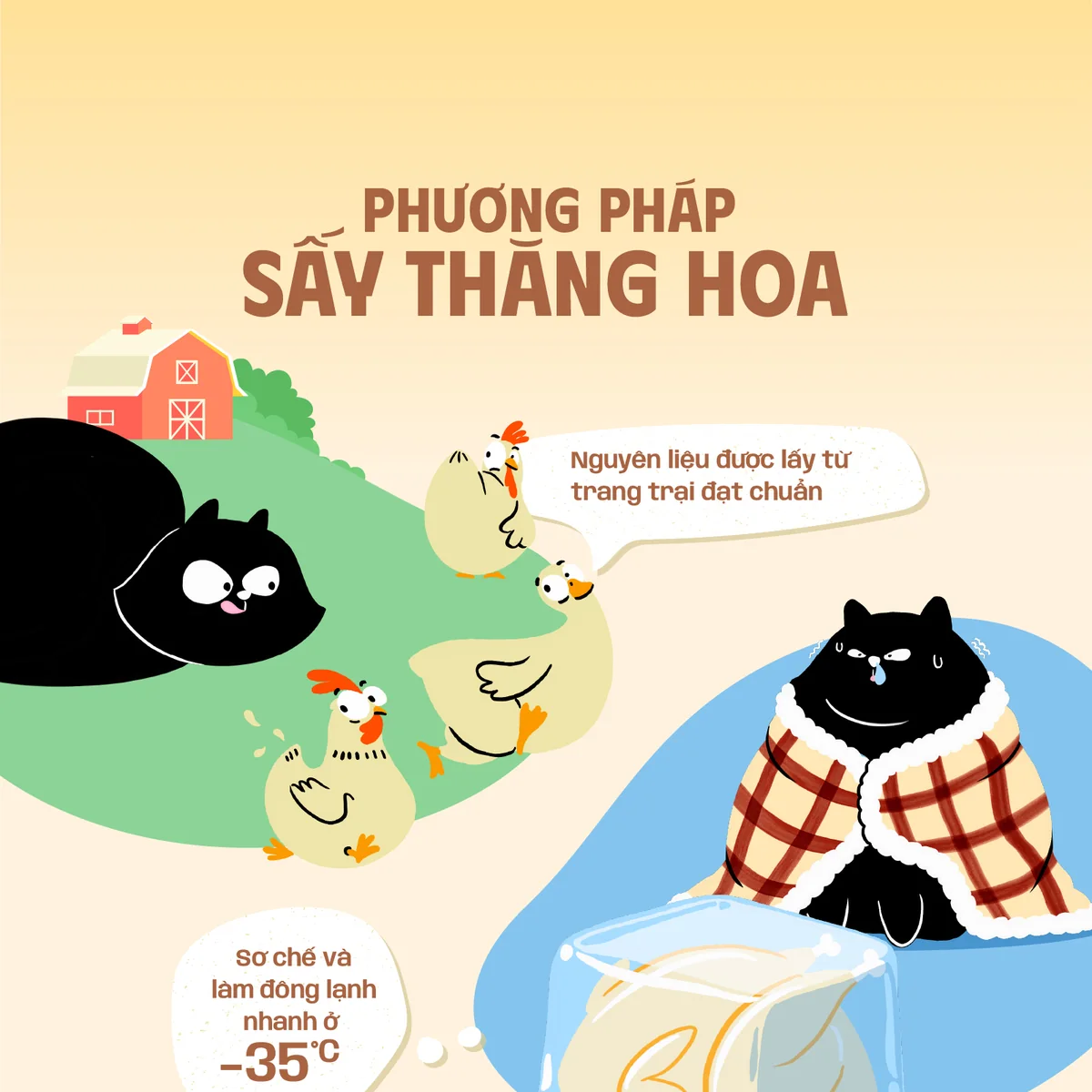 Thịt Sấy Thăng Hoa Pawdeli Chi Tiết 2