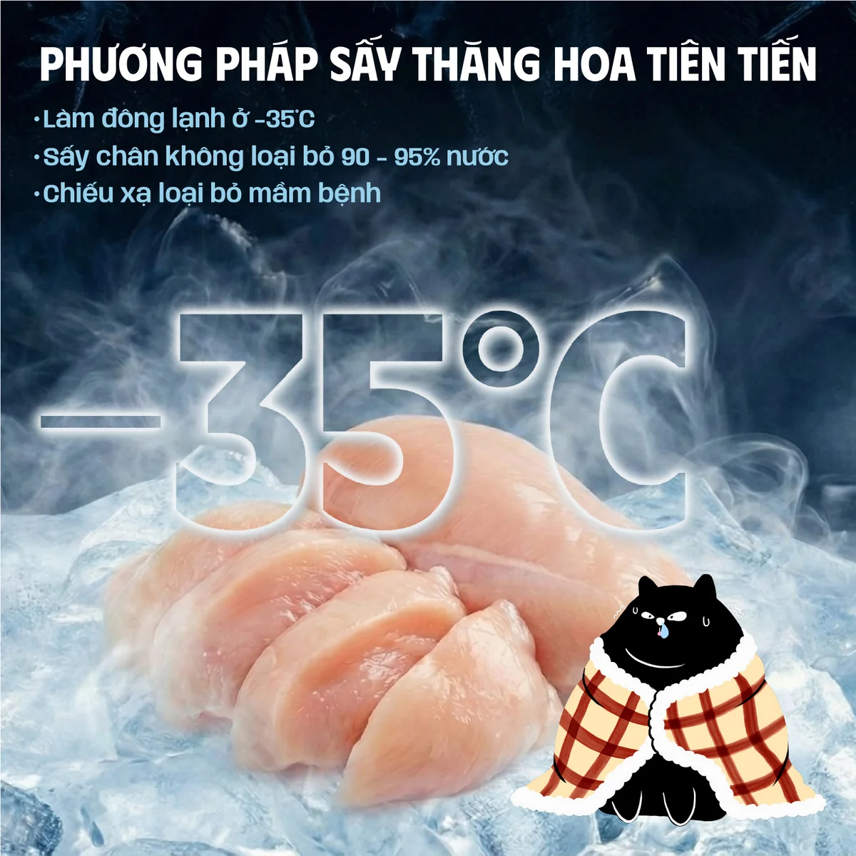 Thịt Gà Sấy Thăng Hoa - ảnh 3