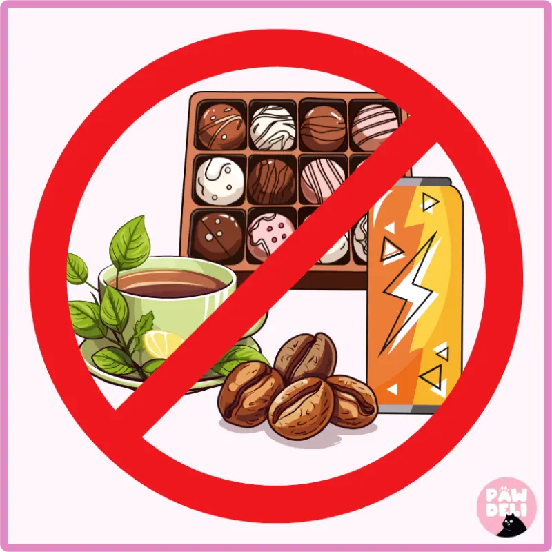 không cho mèo ăn sô cô la, trà, cà phê, nước tăng lực