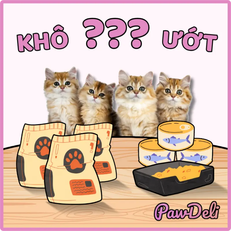 dry or wet food for cats